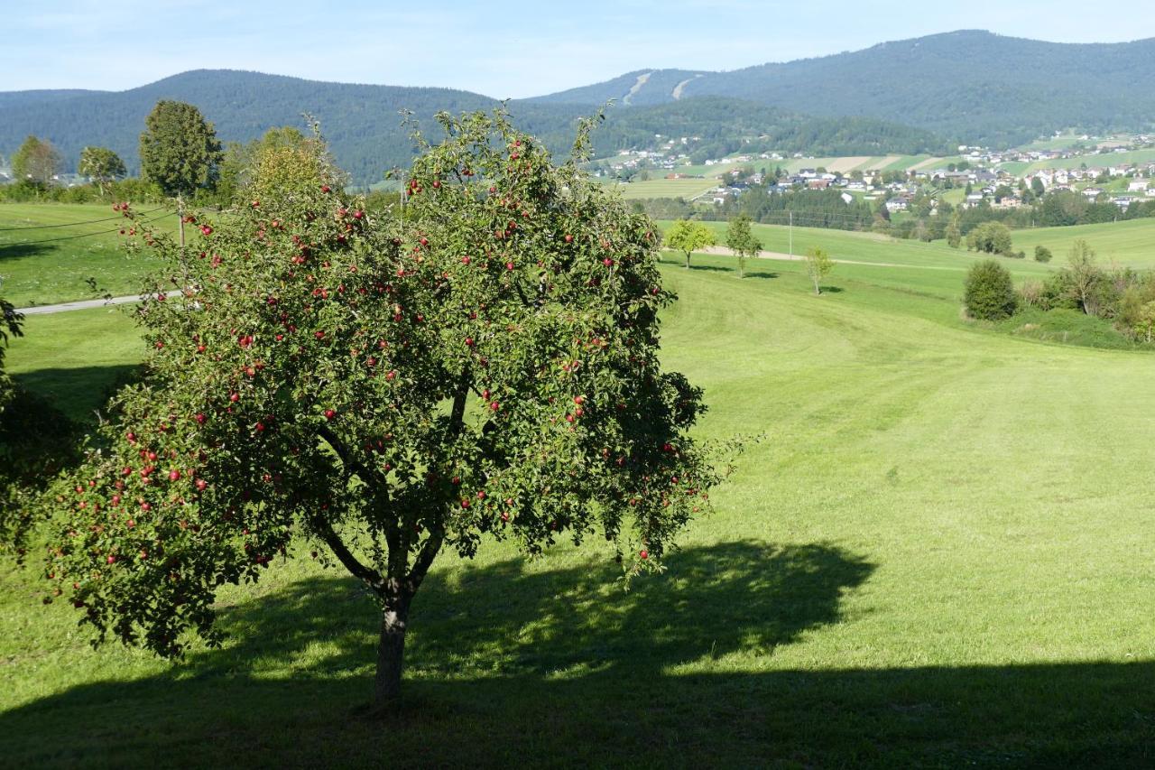 Hochfichtblick *