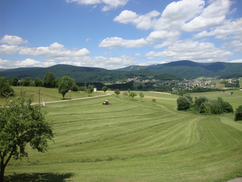 Hochfichtblick Ulrichsberg